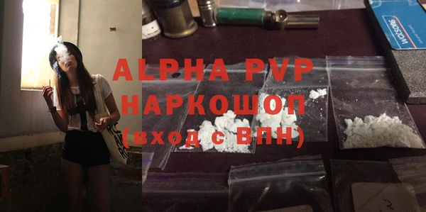 индика Абаза
