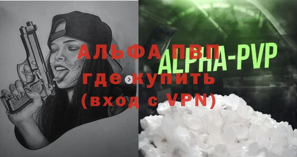 индика Абаза