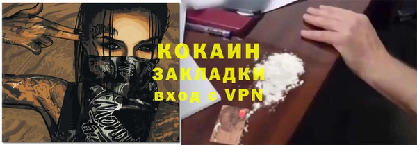 индика Абаза