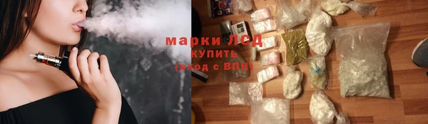 индика Абаза