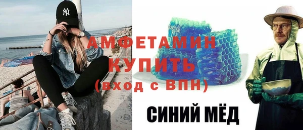 индика Абаза