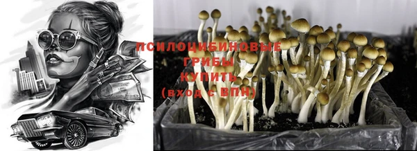 эйфоретик Абдулино