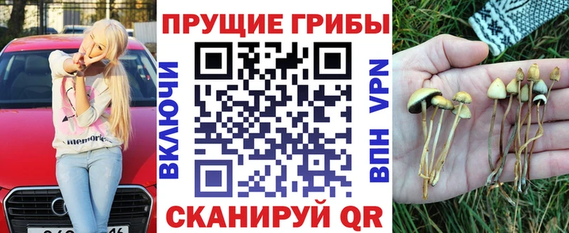 Псилоцибиновые грибы Psilocybine cubensis kraken онион Зарайск